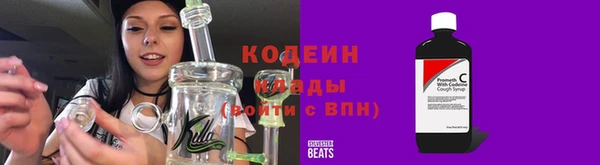 прущие грибы Аркадак