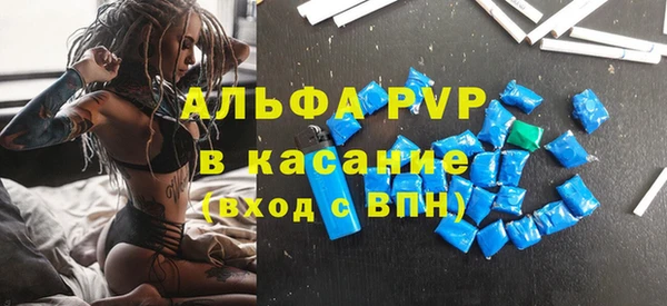 прущие грибы Аркадак