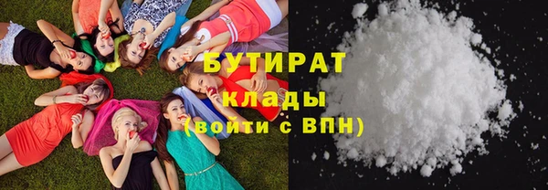 прущие грибы Аркадак