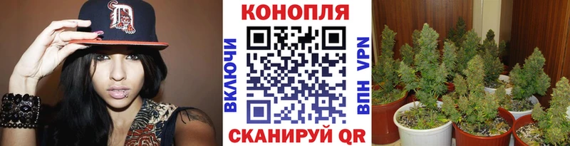 МАРИХУАНА THC 21%  OMG ССЫЛКА  Сосновоборск 